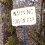 img 20131216 145239 edit