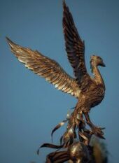 pexels photo 16255984 16255984