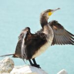 G29338f7dc64f3a559336c83b80e4e4da9bcfd9908fded6491fc8d1d08ea442fd8f4db0af9479df541ecd12e61d43aa888f31b3c6903ace8648b73cbed196bec6 1280 4351524 150x150